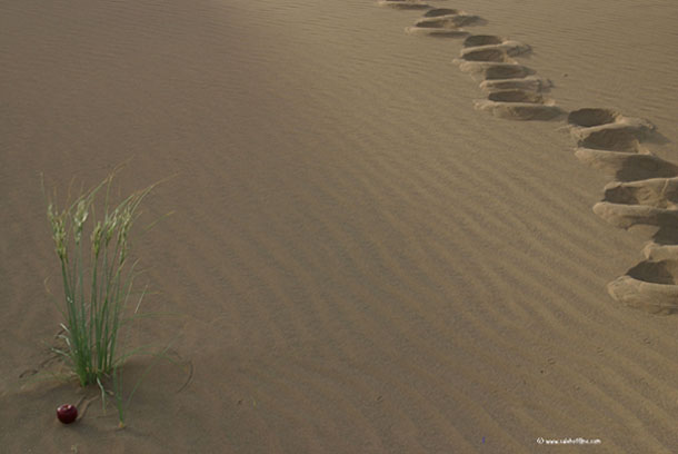 Persian Desert