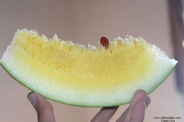 Yellow Watermelon II
