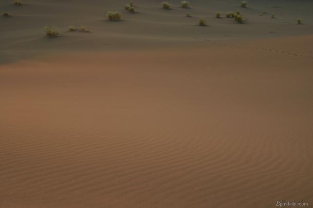 Persian Desert II