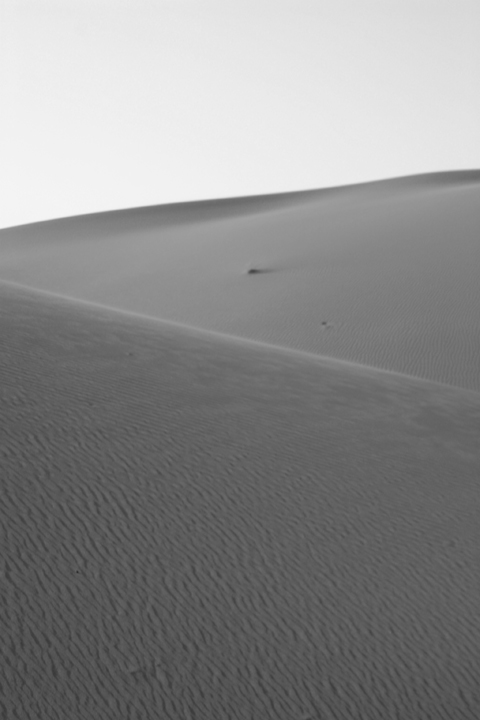 BW persian desert