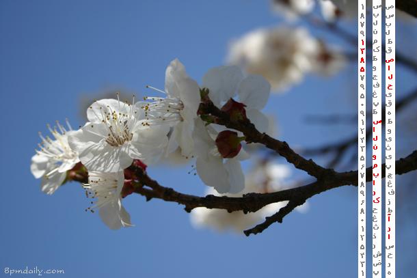 Happy Norouz, Happy New Year!