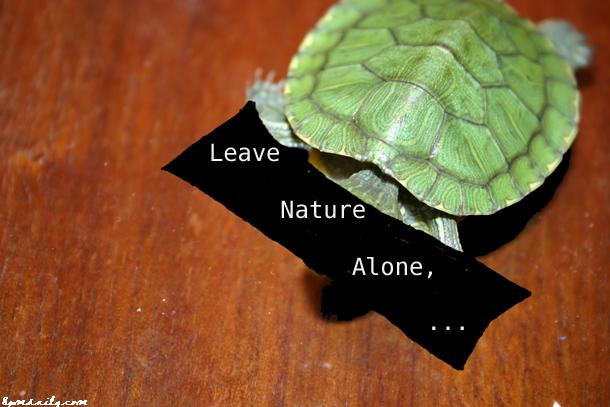 Leave Nature Alone, Please!