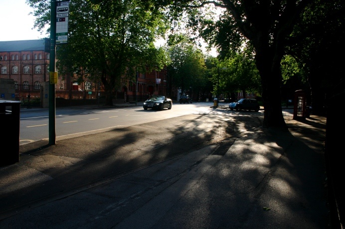 One lovely afternoon