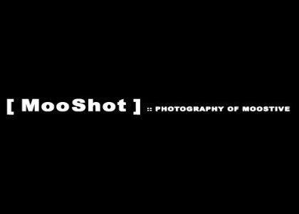 In Mohsen Rasoulov's Memory